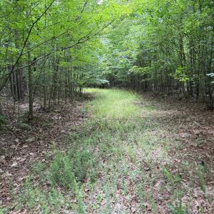 Photo #23 of Herbert Faucette, Bullock, NC