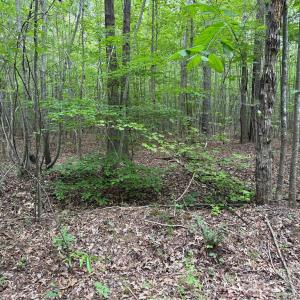Photo #21 of Herbert Faucette, Bullock, NC