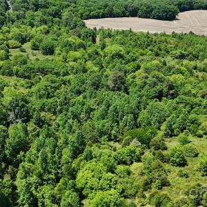 Photo #16 of 8822 NC 742, Marshville, NC