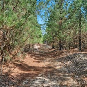 Photo #8 of 931 Charlie Johnson, Kershaw, SC