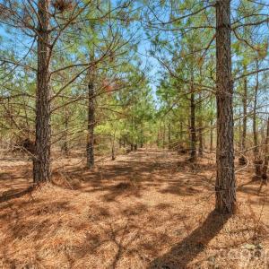 Photo #19 of 931 Charlie Johnson, Kershaw, SC
