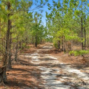 Photo #31 of 931 Charlie Johnson, Kershaw, SC