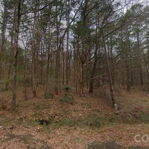 Photo #2 of Oak, Fort Lawn, SC