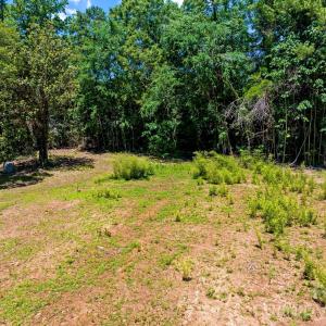 Photo #9 of 11038 Harrisburg, Fort Mill, SC