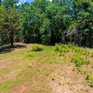Photo #8 of 11038 Harrisburg, Fort Mill, SC