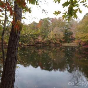 Photo #14 of 627 Bolick, Fort Mill, SC