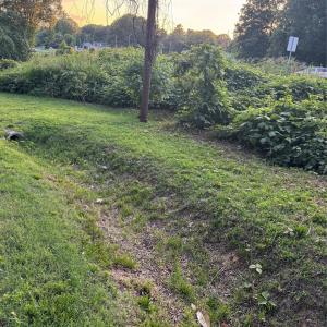 Photo #4 of 400 Boone, Kannapolis, NC