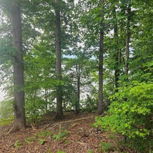 Photo #2 of Lot 105 Edgewater, Norwood, NC