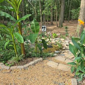 Photo #20 of 205 Dornoch, Weddington, NC