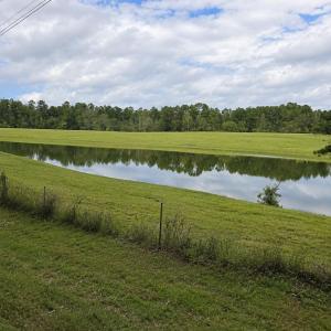 Photo #5 of 678 Old Stage, Edgefield, SC