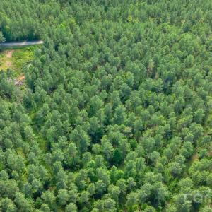 Photo #37 of Peacehaven, McConnells, SC