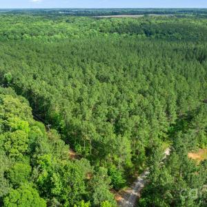 Photo #44 of Peacehaven, McConnells, SC