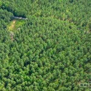 Photo #35 of Peacehaven, McConnells, SC