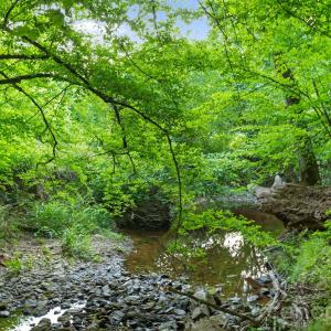 Photo #5 of Lucy Short Cut, Marshville, NC