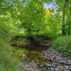 Photo #20 of Lucy Short Cut, Marshville, NC
