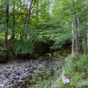 Photo #21 of Lucy Short Cut, Marshville, NC