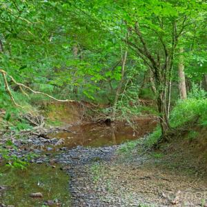 Photo #19 of Lucy Short Cut, Marshville, NC