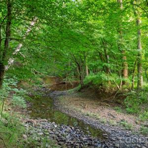 Photo #3 of Lucy Short Cut, Marshville, NC