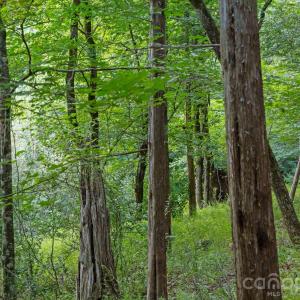 Photo #6 of Lucy Short Cut, Marshville, NC