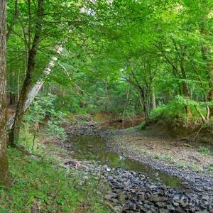 Photo #22 of Lucy Short Cut, Marshville, NC