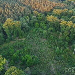 Photo #28 of Lucy Short Cut, Marshville, NC