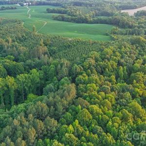 Photo #27 of Lucy Short Cut, Marshville, NC