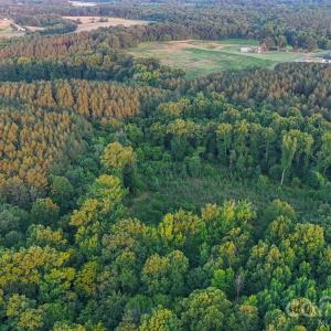 Photo #26 of Lucy Short Cut, Marshville, NC