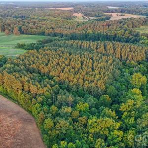 Photo #25 of Lucy Short Cut, Marshville, NC