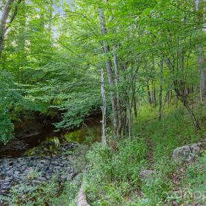 Photo #9 of Lucy Short Cut, Marshville, NC