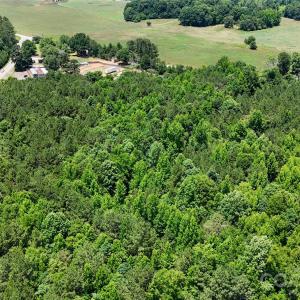 Photo #11 of 1860 Old Richburg, Chester, SC