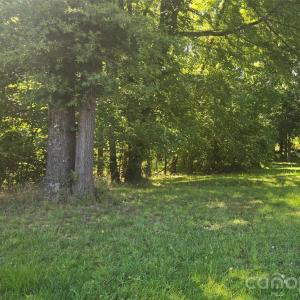 Photo #1 of 248 Ross Cannon, York, SC
