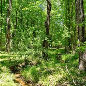 Photo #43 of Cool Branch, Carlisle, SC