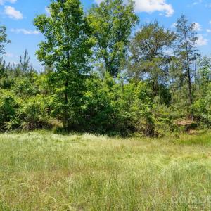 Photo #32 of Cool Branch, Carlisle, SC