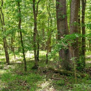 Photo #36 of Cool Branch, Carlisle, SC