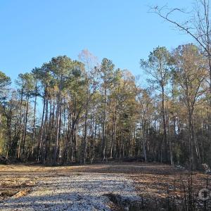 Photo #3 of 849 (1.27ac) Allendale, Rock Hill, SC