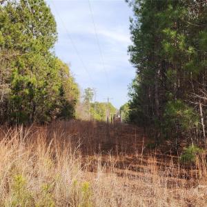 Photo #17 of 1413 Old Columbia, Chester, SC
