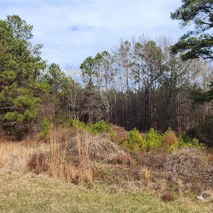 Photo #12 of 1413 Old Columbia, Chester, SC