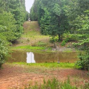 Photo #22 of 1413 Old Columbia, Chester, SC