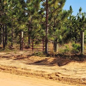 Photo #12 of 1045 Mcqueen, Patrick, SC