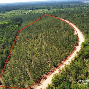 Photo #1 of 1045 Mcqueen, Patrick, SC