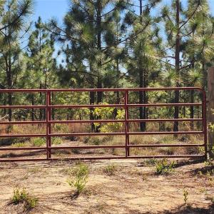 Photo #2 of 1045 Mcqueen, Patrick, SC