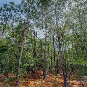 Photo #16 of Hwy 1, Patrick, SC