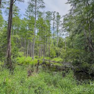 Photo #21 of Hwy 1, Patrick, SC