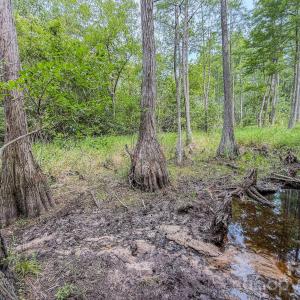 Photo #24 of Hwy 1, Patrick, SC