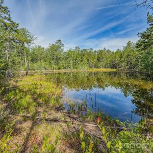 Photo #1 of Hwy 1, Patrick, SC