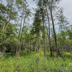 Photo #27 of Hwy 1, Patrick, SC