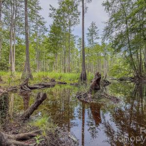 Photo #22 of Hwy 1, Patrick, SC