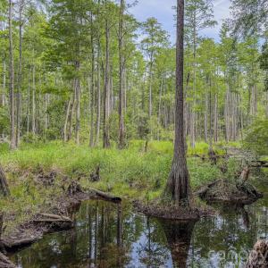 Photo #25 of Hwy 1, Patrick, SC