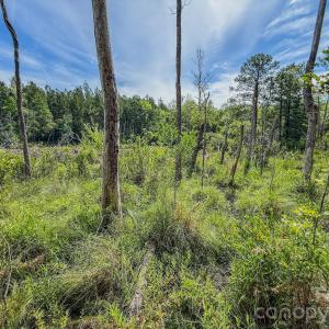Photo #12 of Hwy 1, Patrick, SC