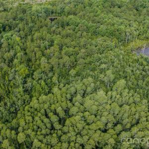 Photo #31 of Hwy 1, Patrick, SC